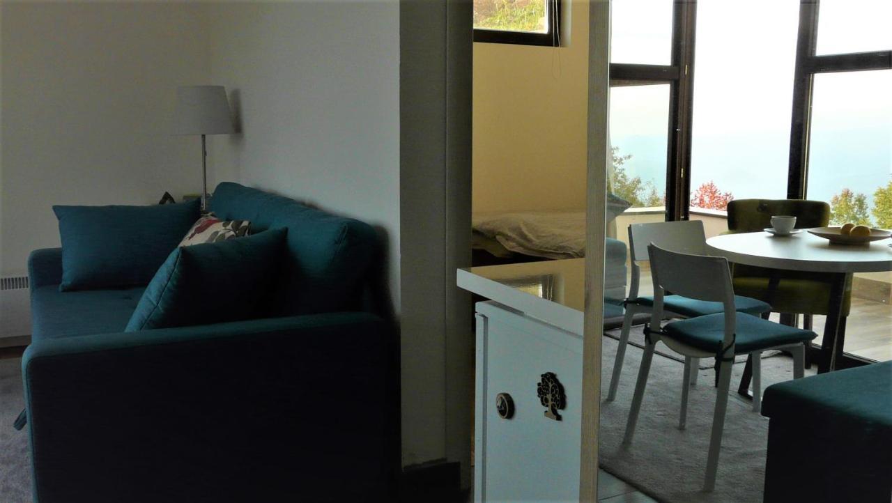 Apartman D52 Dvori Копаоник Екстериор снимка